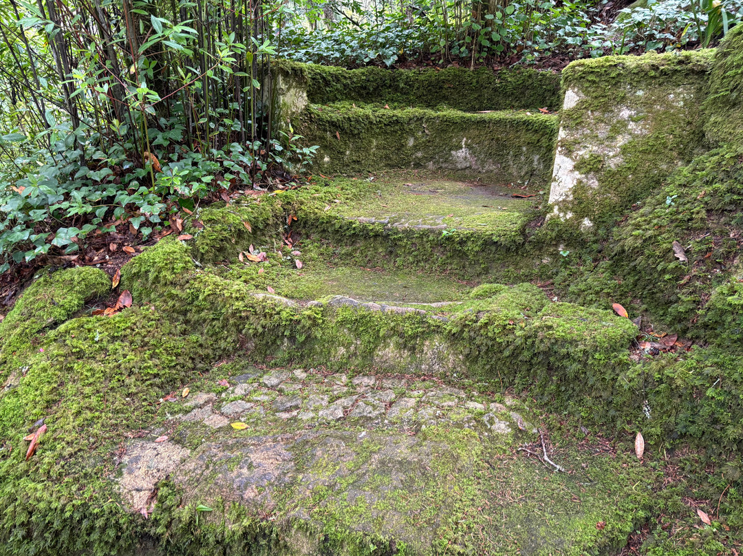 Vale dos Lagos at Parque de Pena景点图片