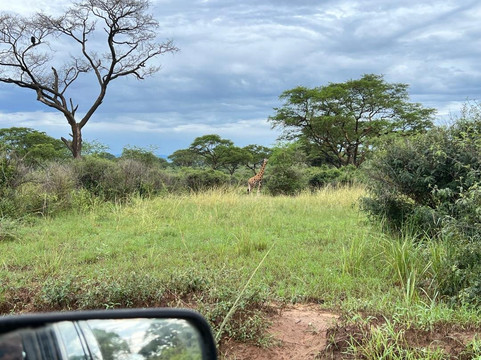 NSHEKA AFRICAN ADVENTURES-坎帕拉必去景点