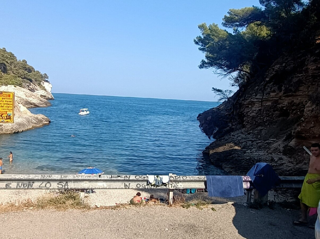 Cala della Pergola-维耶斯泰必去景点