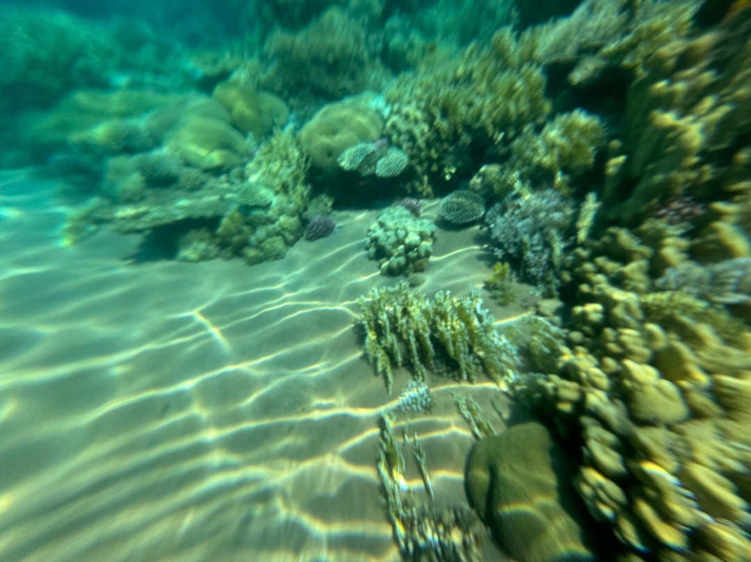 Luxotel Aqaba Beach Resort & Spa.主图