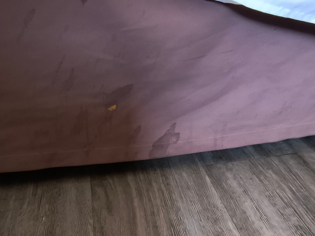 Comfort Suites Fernley主图