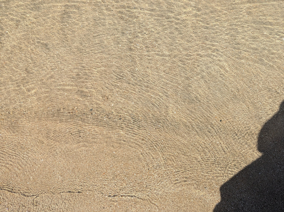 Trinity Beach-帕拉林尼必去景点