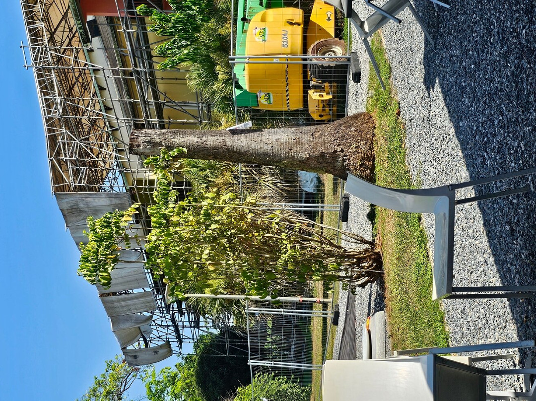 Grand Hotel Montabo主图