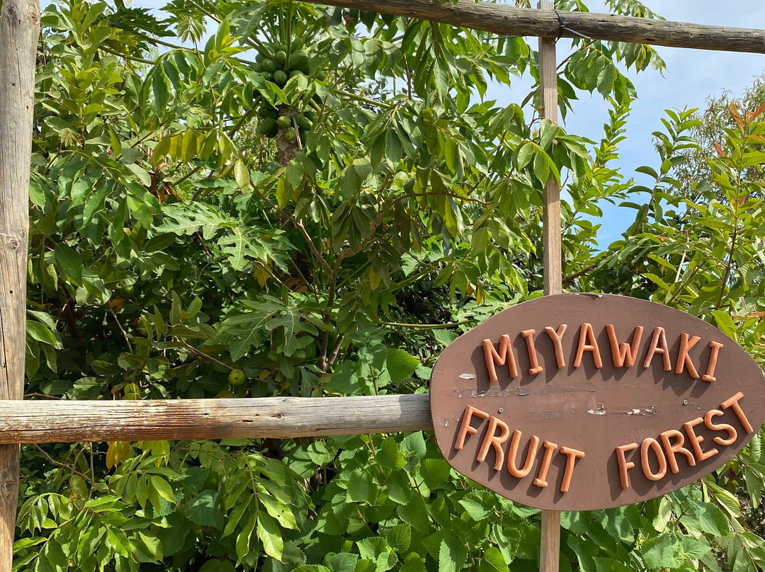 Orchard Of Flavours景点图片