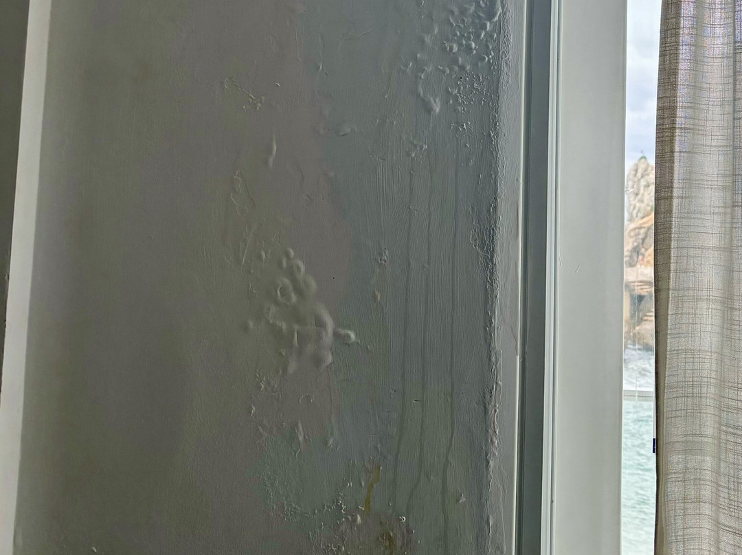 Globales Don Pedro主图