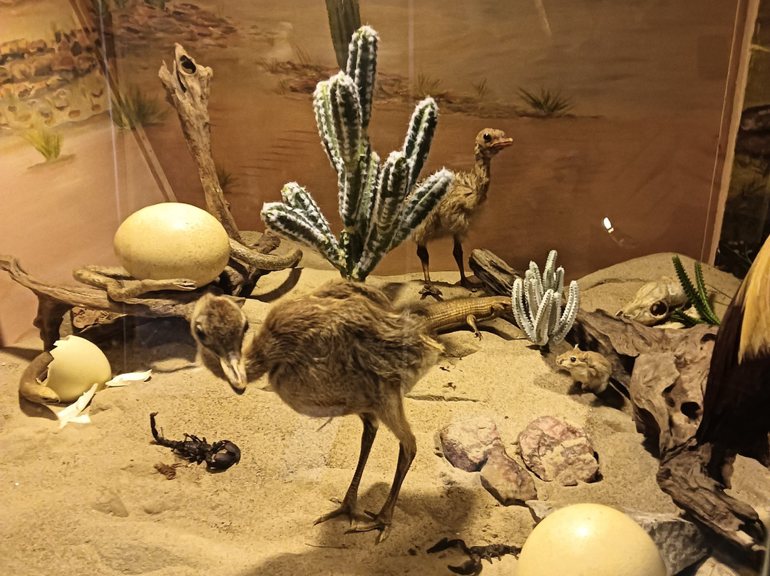 Artisklas-哈勒姆必去景点