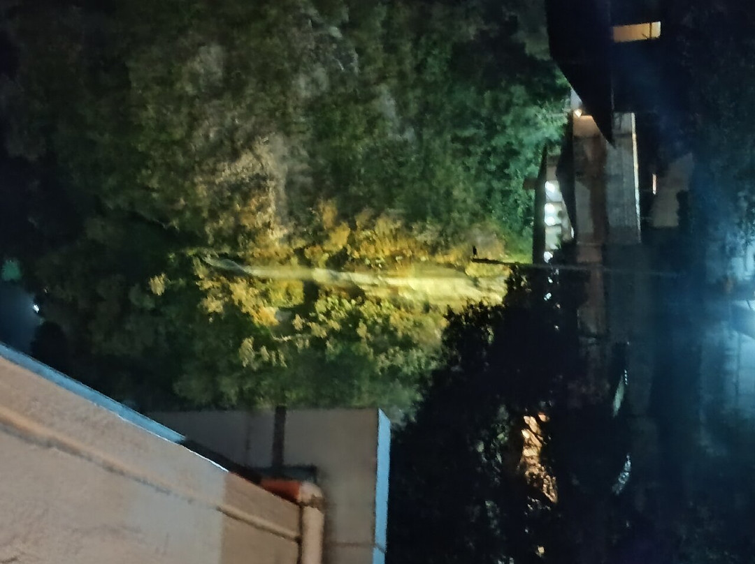 Hostal Chimenea主图