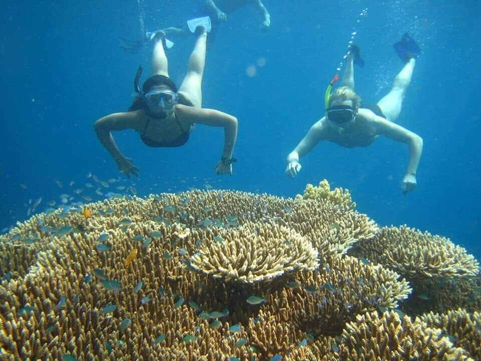 Pemuteran Bali Transport景点图片