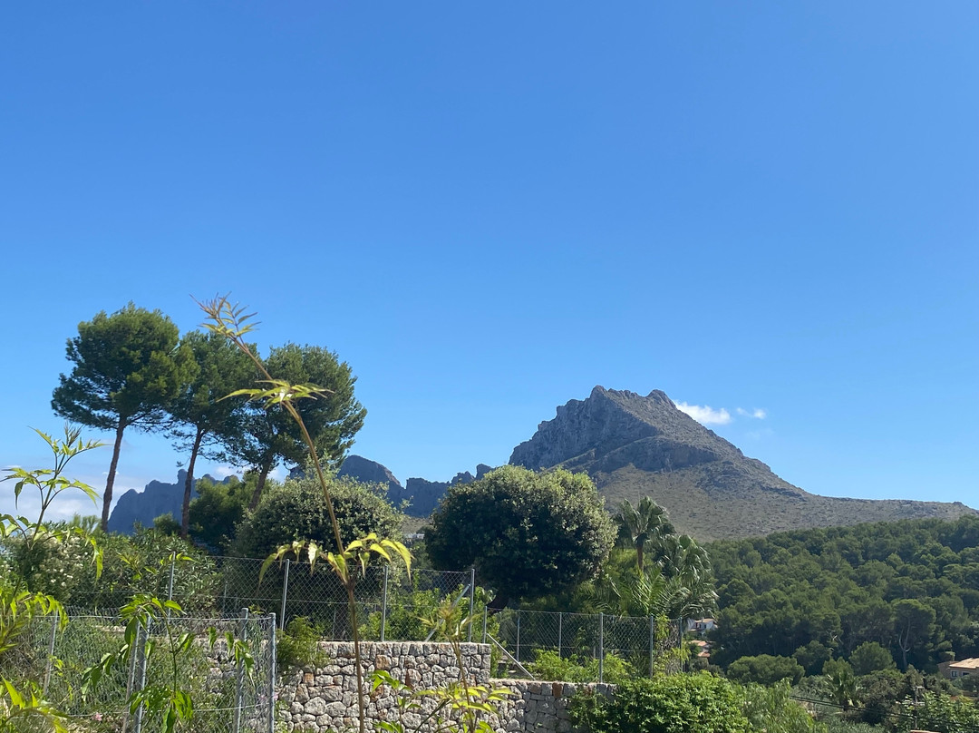 Cala Sant Vicenc酒店住宿-La Moraleja The Quiet Hotel