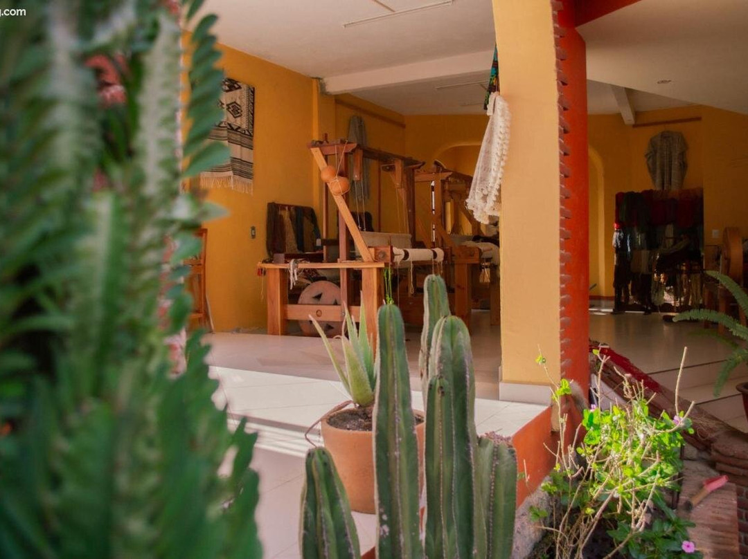 La Cupula B&B Teotitlan主图