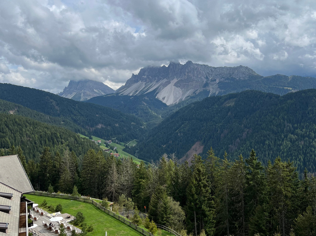Forestis Dolomites主图