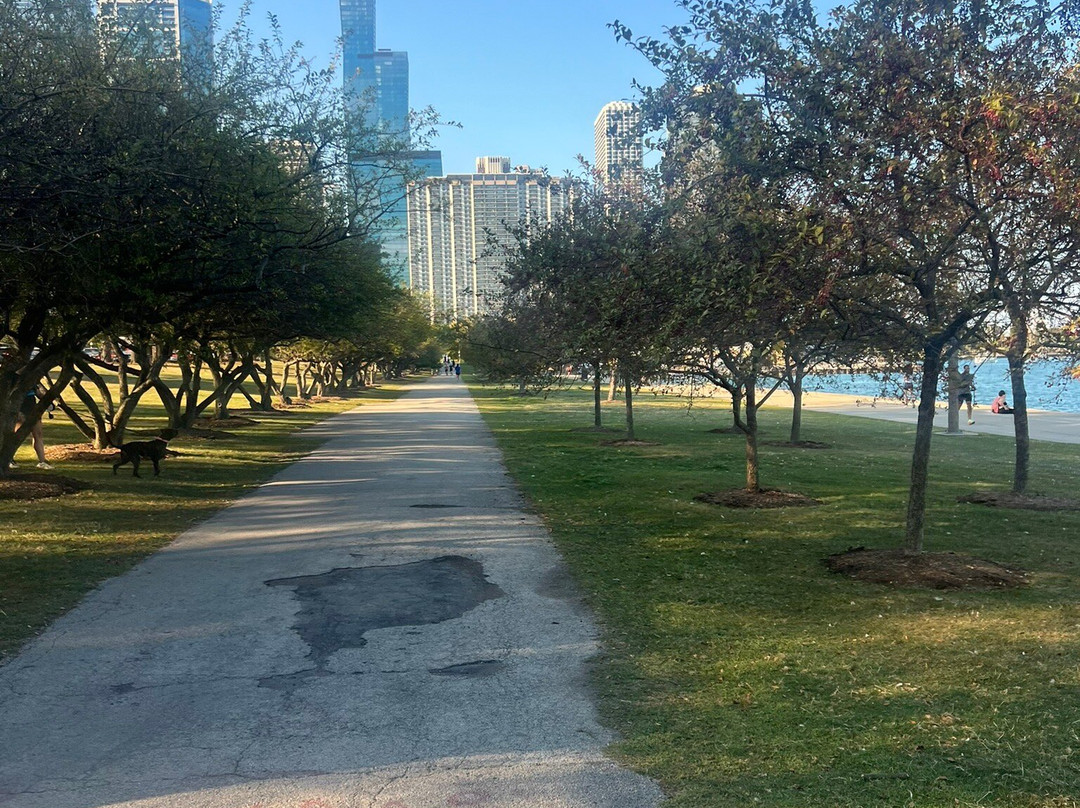 湖滨小路-芝加哥必去景点