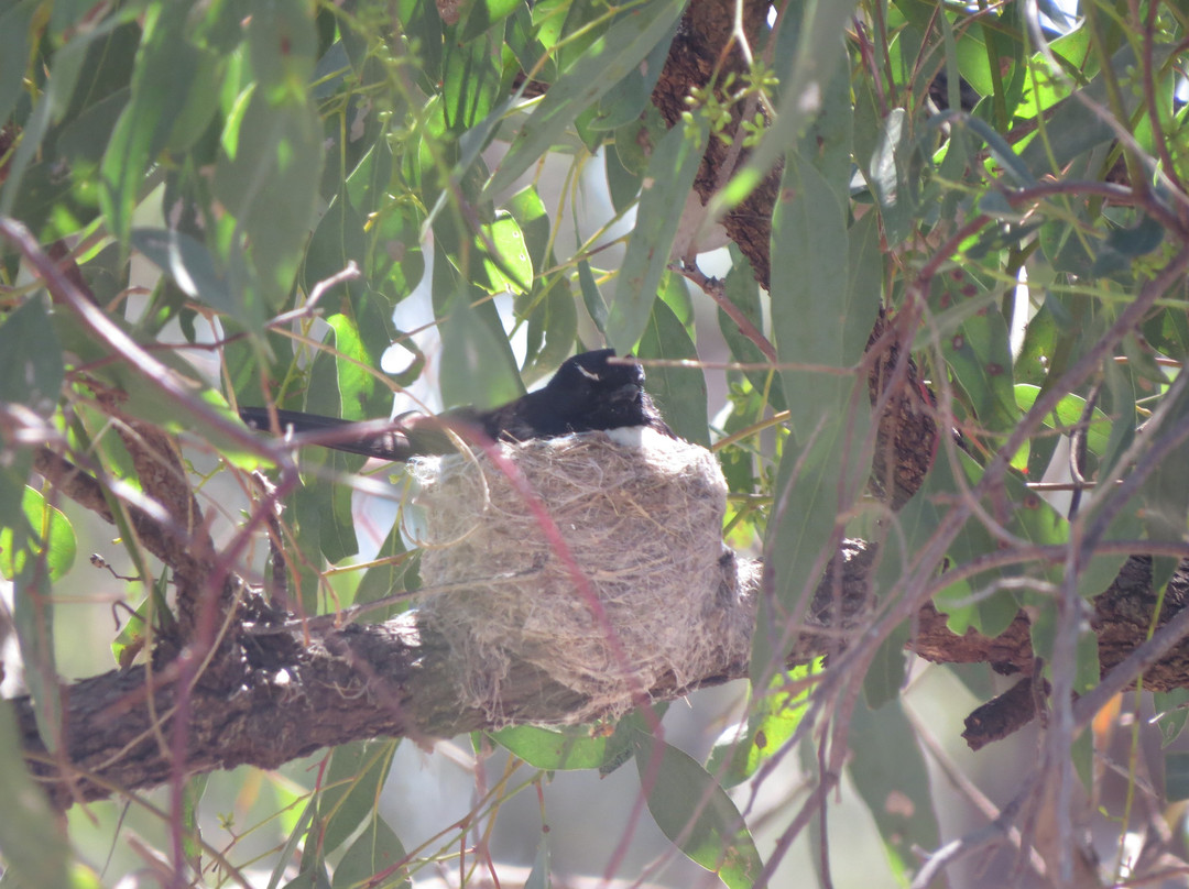 Tiger Bay Wetlands-Warren必去景点