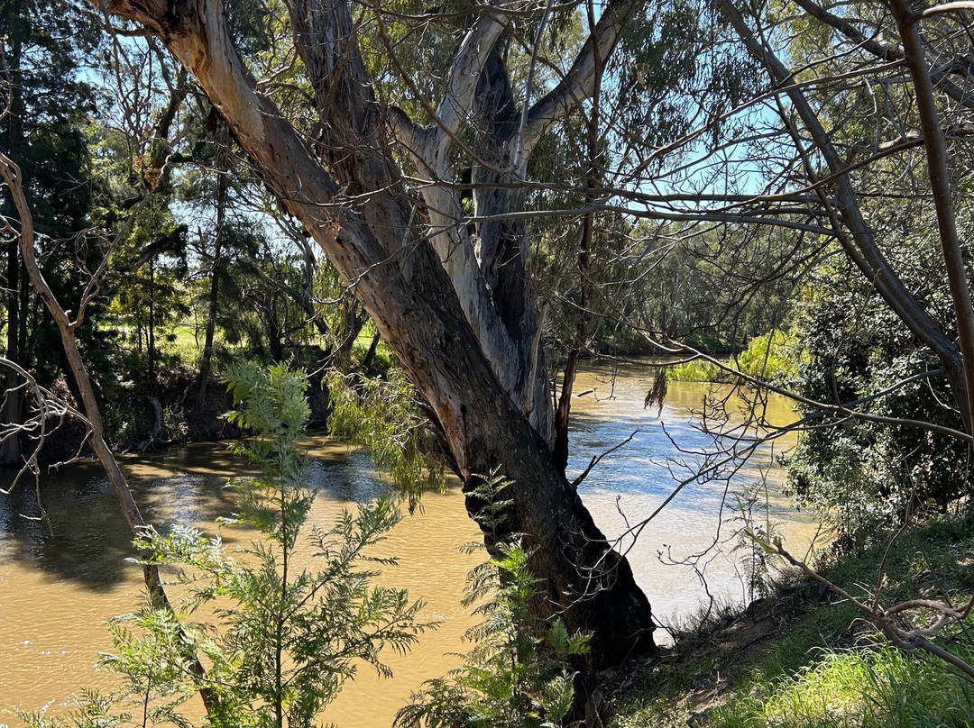 Tiger Bay Wetlands-Warren必去景点