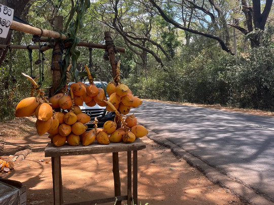 Zolanka Travels-卡卢特勒必去景点