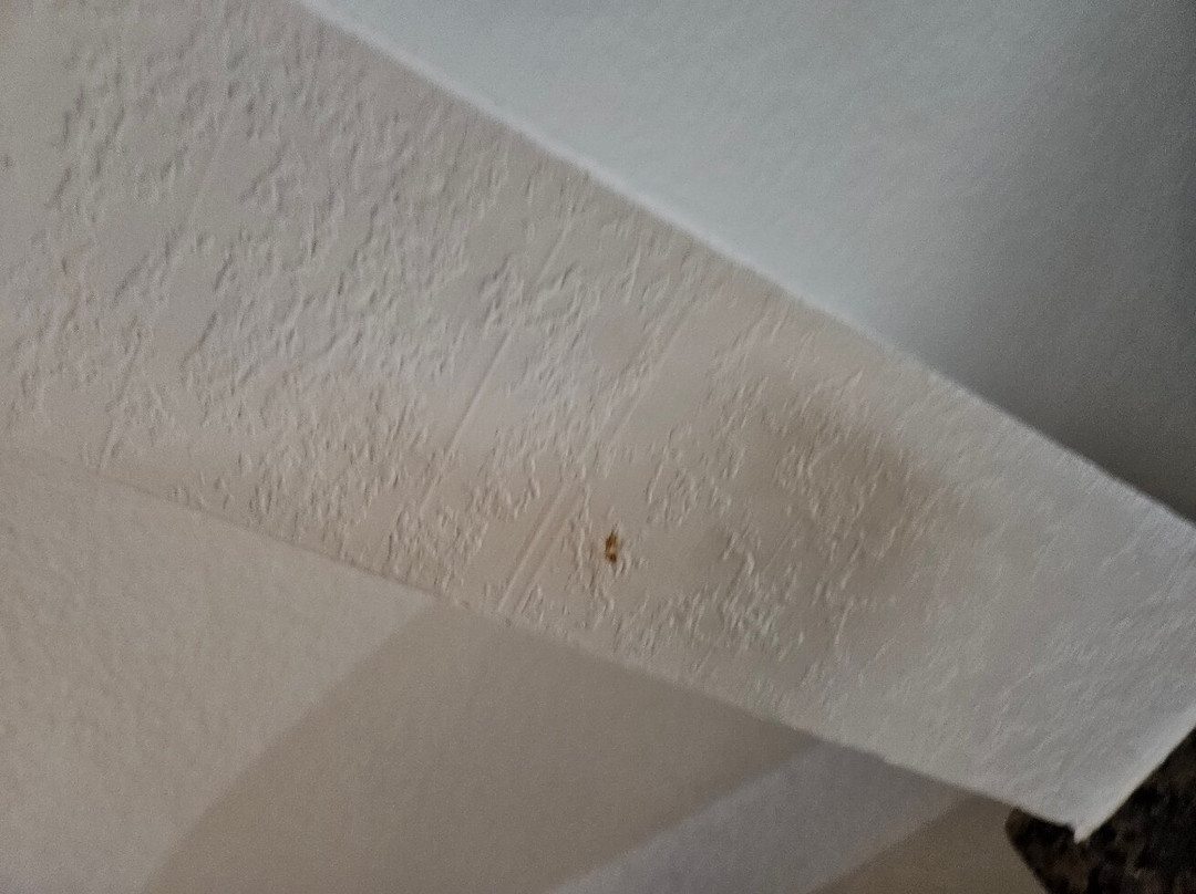 SureStay Plus By Best Western Edmond主图