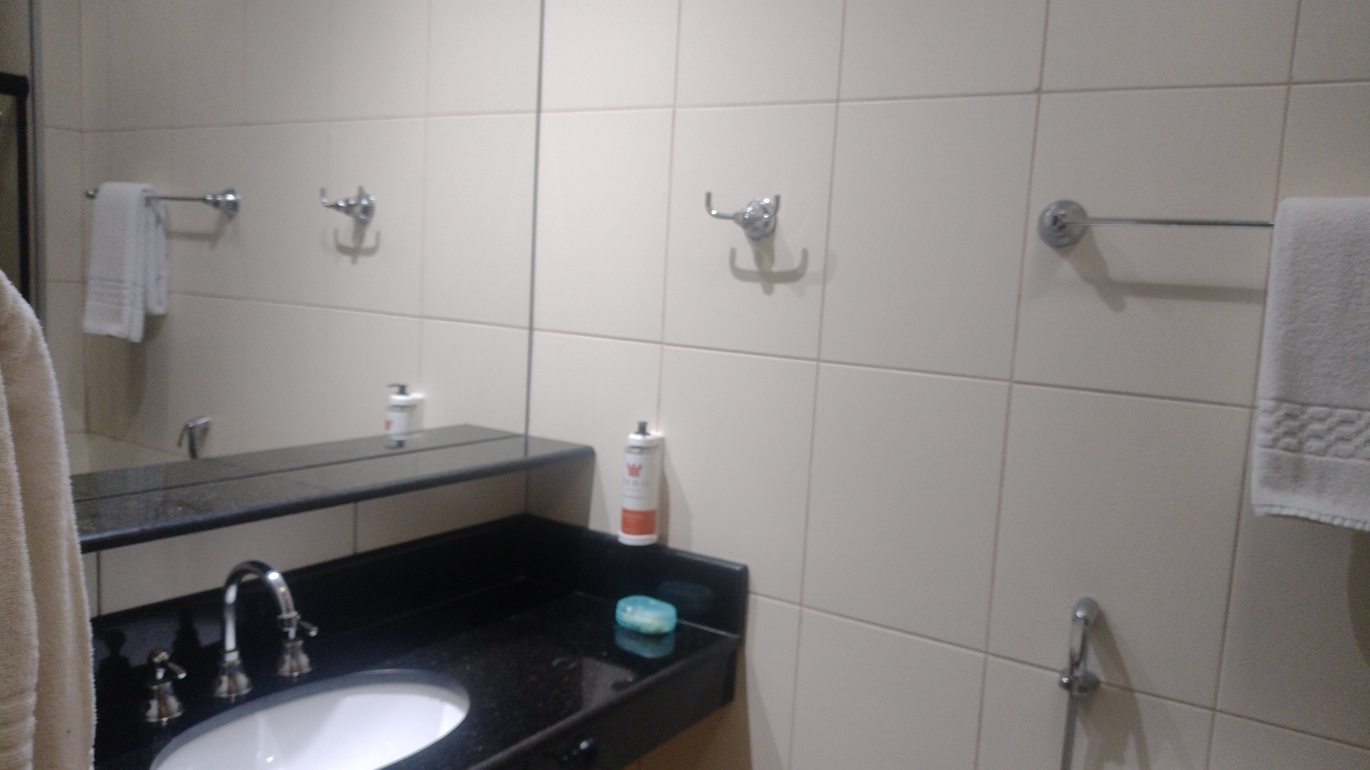Faro Hotel Taubate-浴室