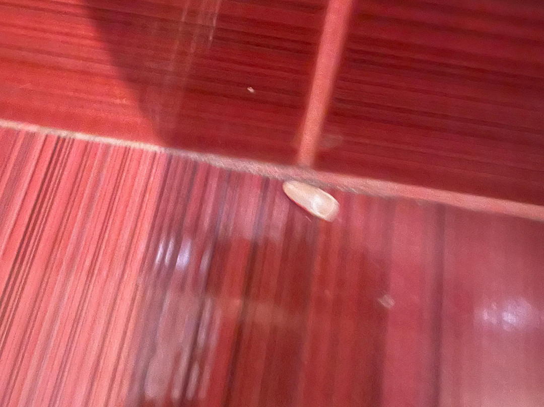 Aris Hotel Sofia主图