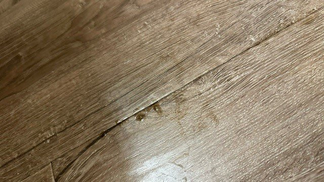 Extended Stay America - Los Angeles - La Mirada主图