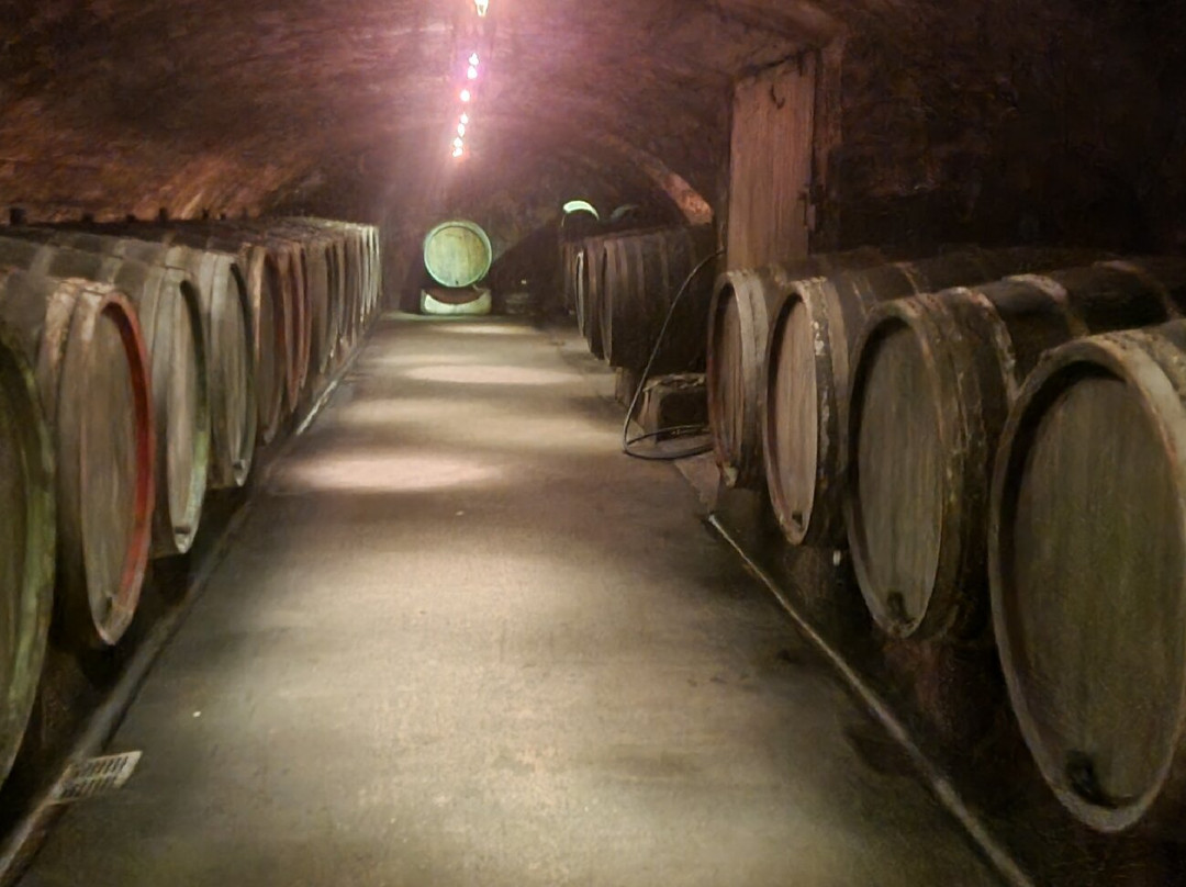Weingut Georg Fritz von Nell-特里尔必去景点