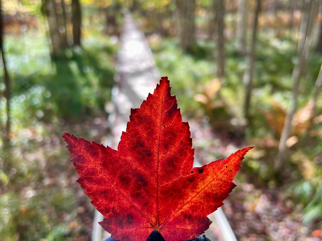 Acadia Photo Safari-巴港必去景点