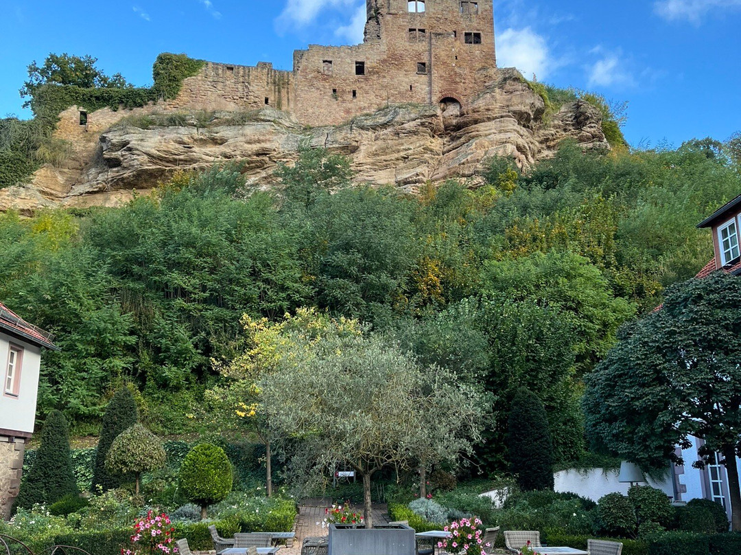 Hardenberg BurgHotel主图