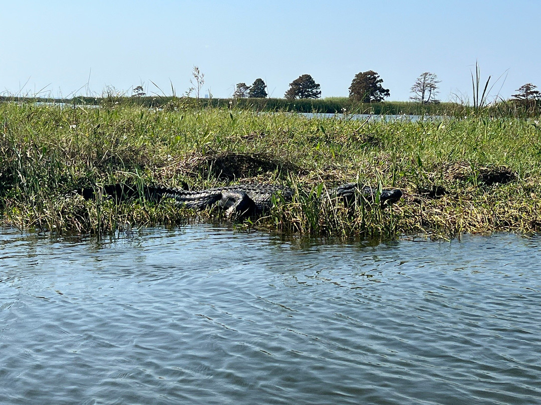 Airboat Express - Tours-Spanish Fort必去景点