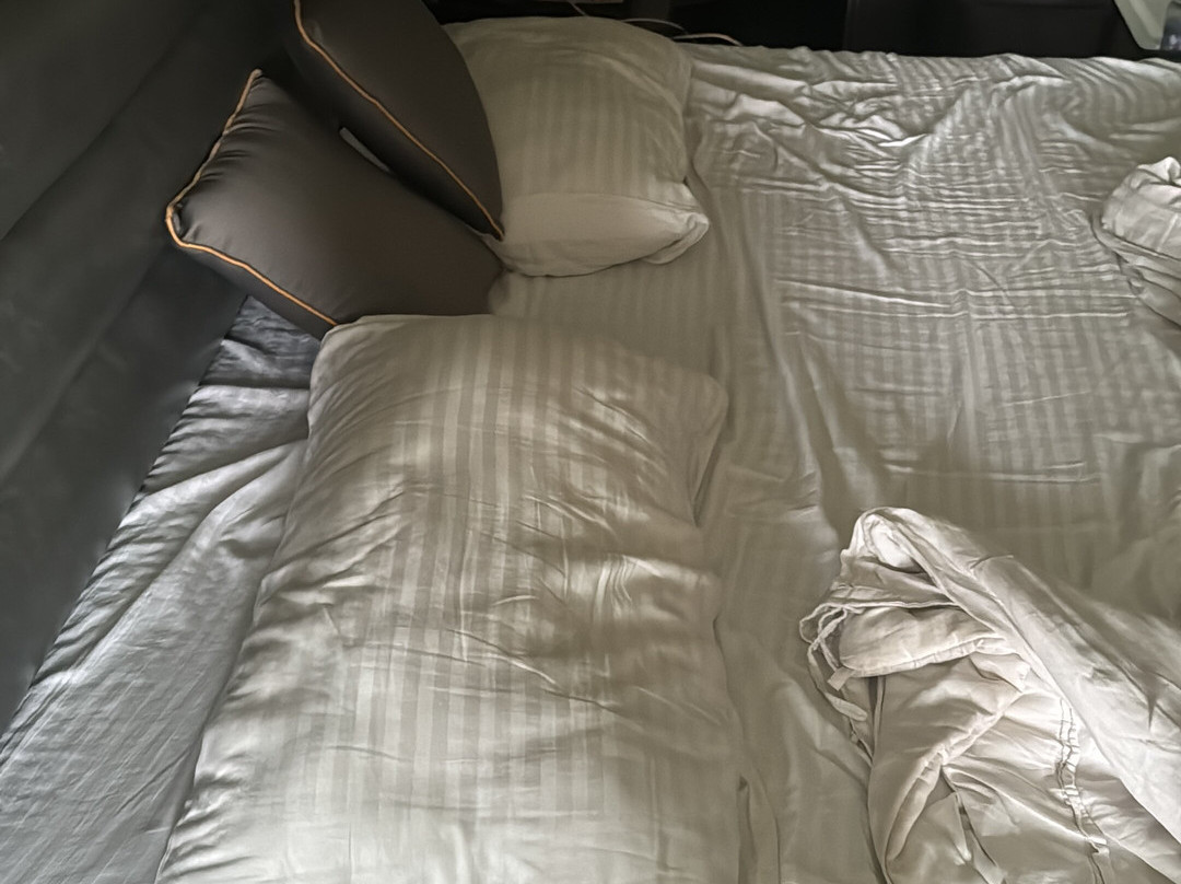 Hotel Royal Retreat主图