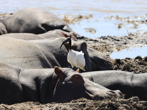 Nyange Adventures-莫西必去景点