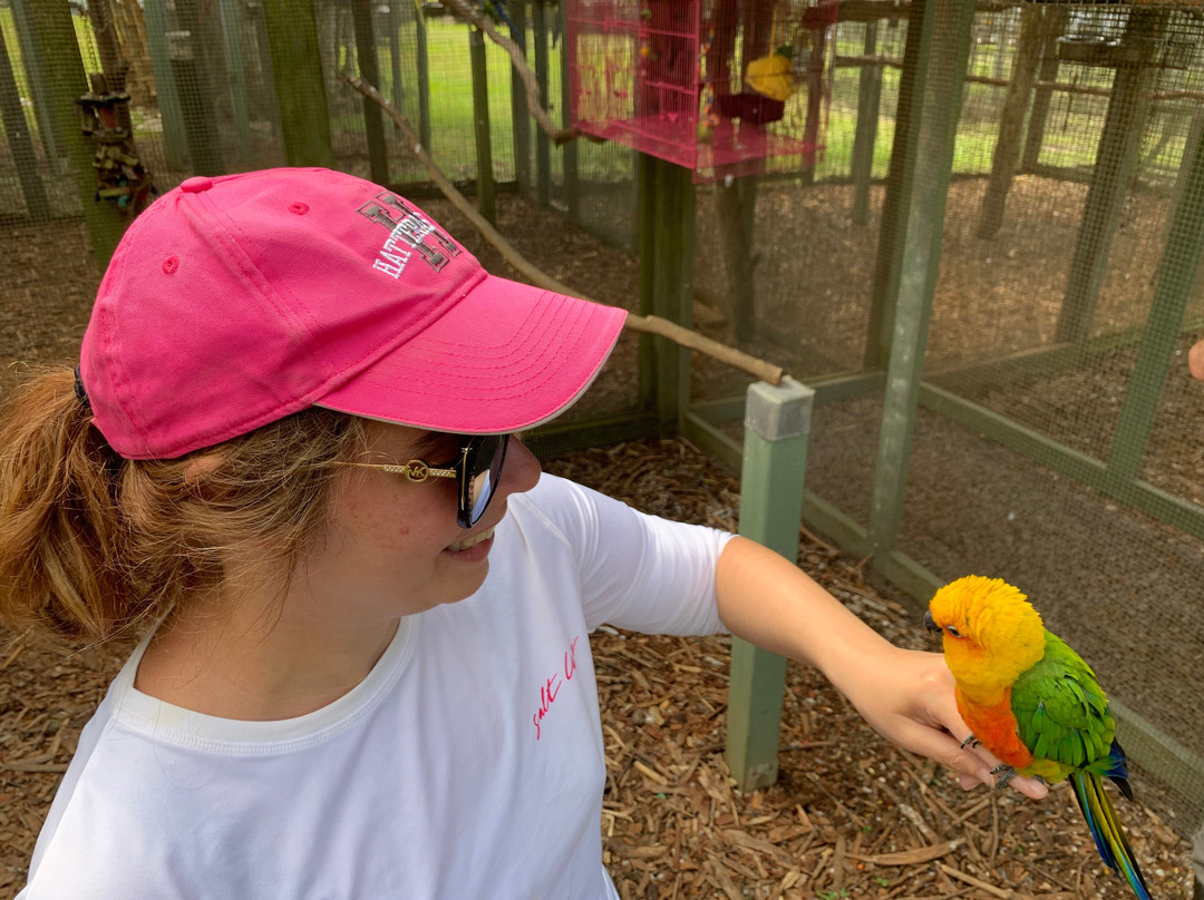 Parrots in Paradise Sanctuary-基亚拉凯库亚必去景点