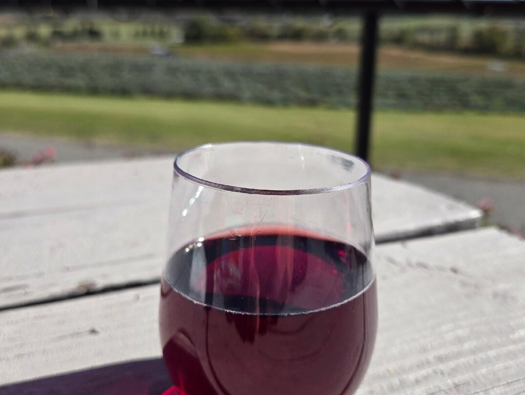 Springfield Manor Winery Brewery and Distillery-Thurmont必去景点