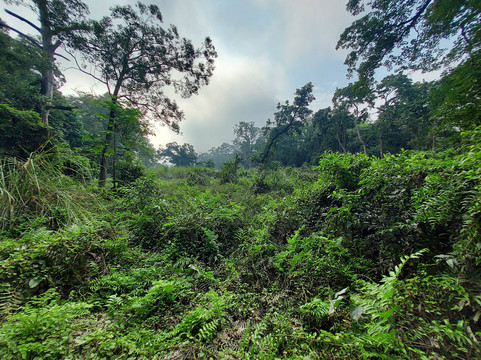 奇塔尔旅馆主图