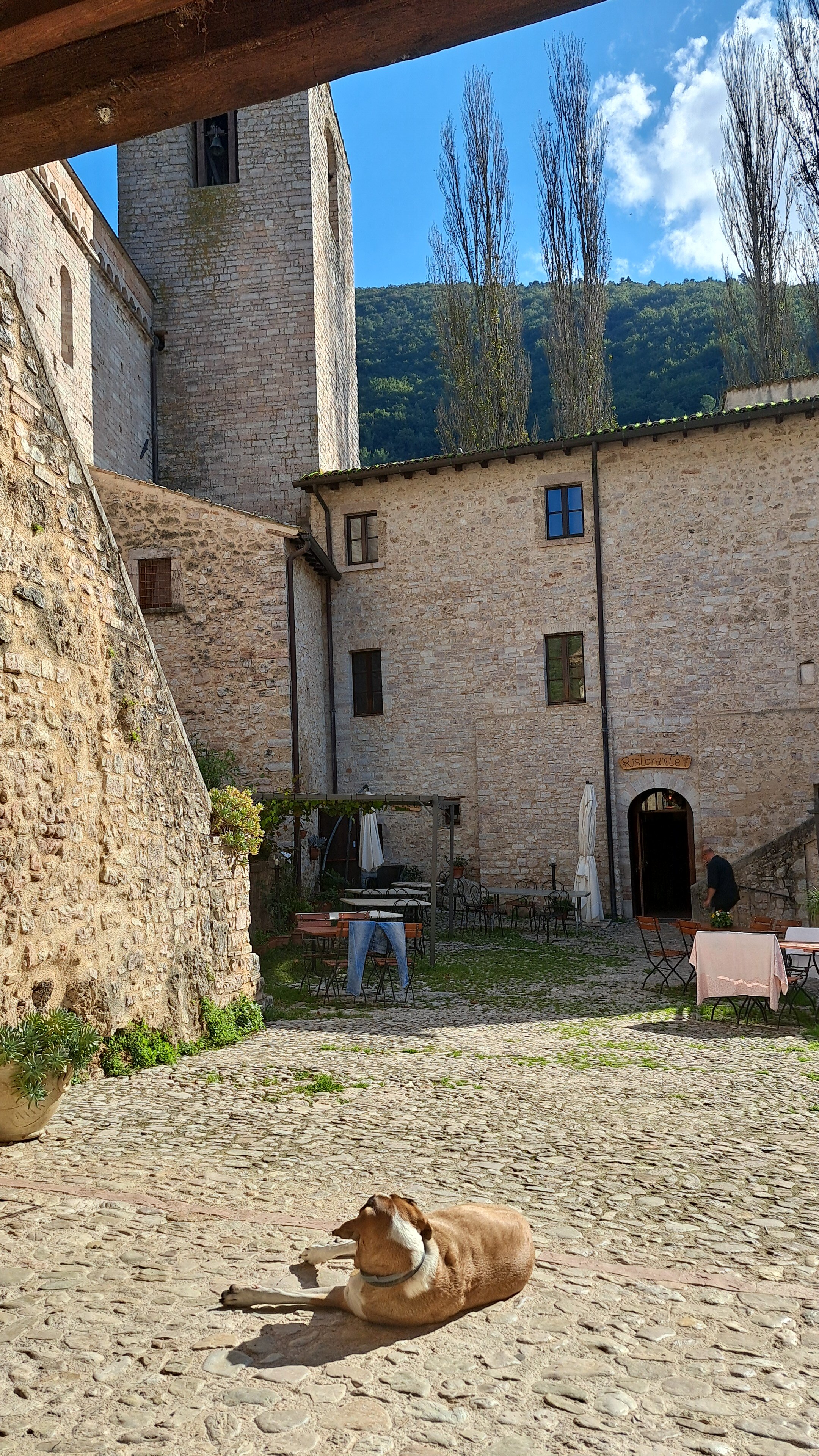 Abbazia dei SS Felice e Mauro-官方