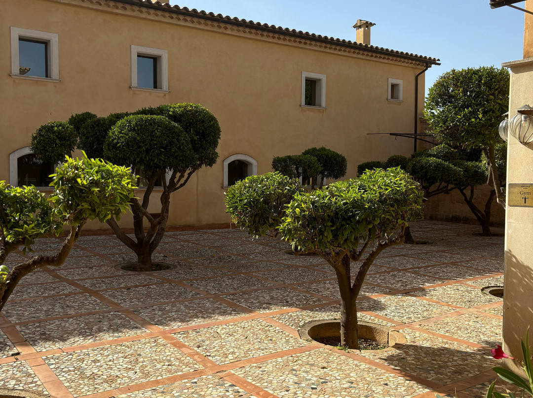 Son Julia Country House & Spa主图