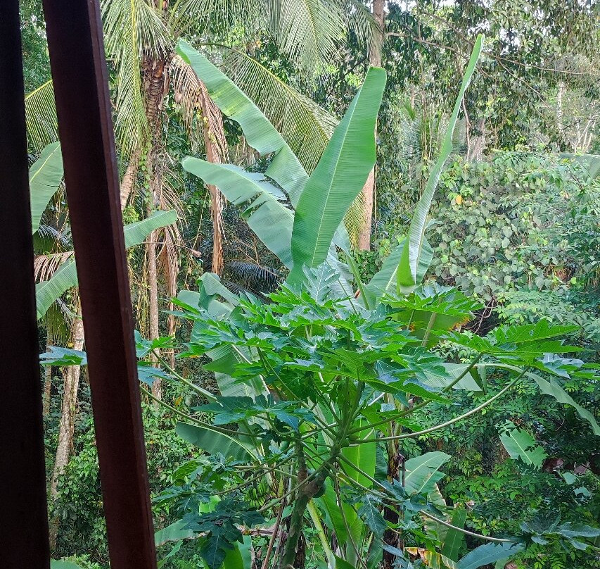 Uma Agung Sidemen主图