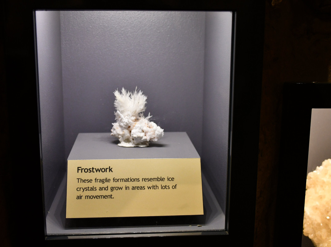 Jewel Cave National Monument-卡斯特必去景点