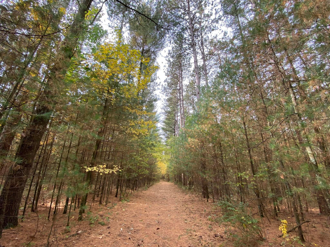 Hartman Creek State Park景点图片