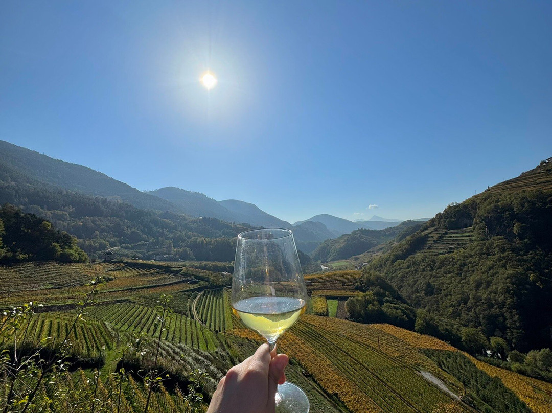 Cantina Barone a Prato dal 1885景点图片