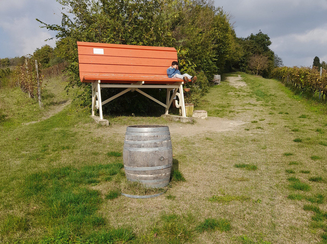 Big Bench nr. 41景点图片