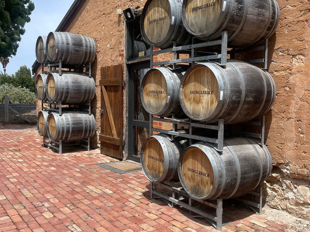 Shingleback Wine Cellar Door景点图片