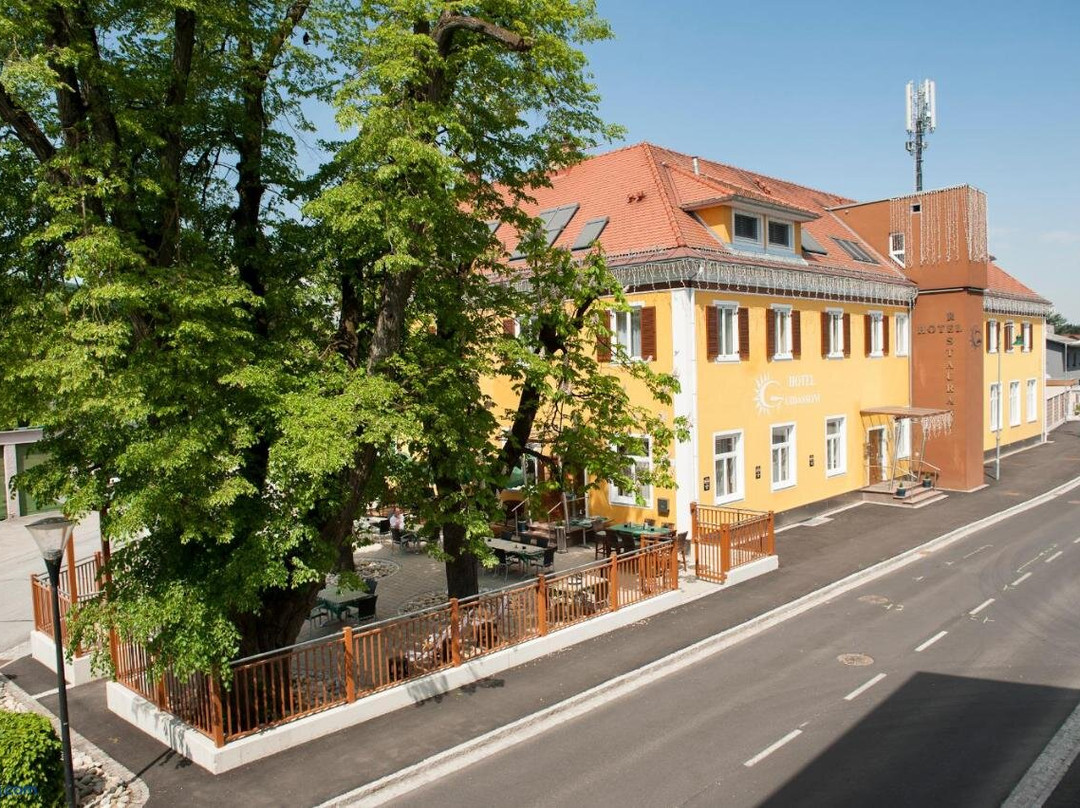 Leibnitz酒店住宿-Hotel Guidassoni