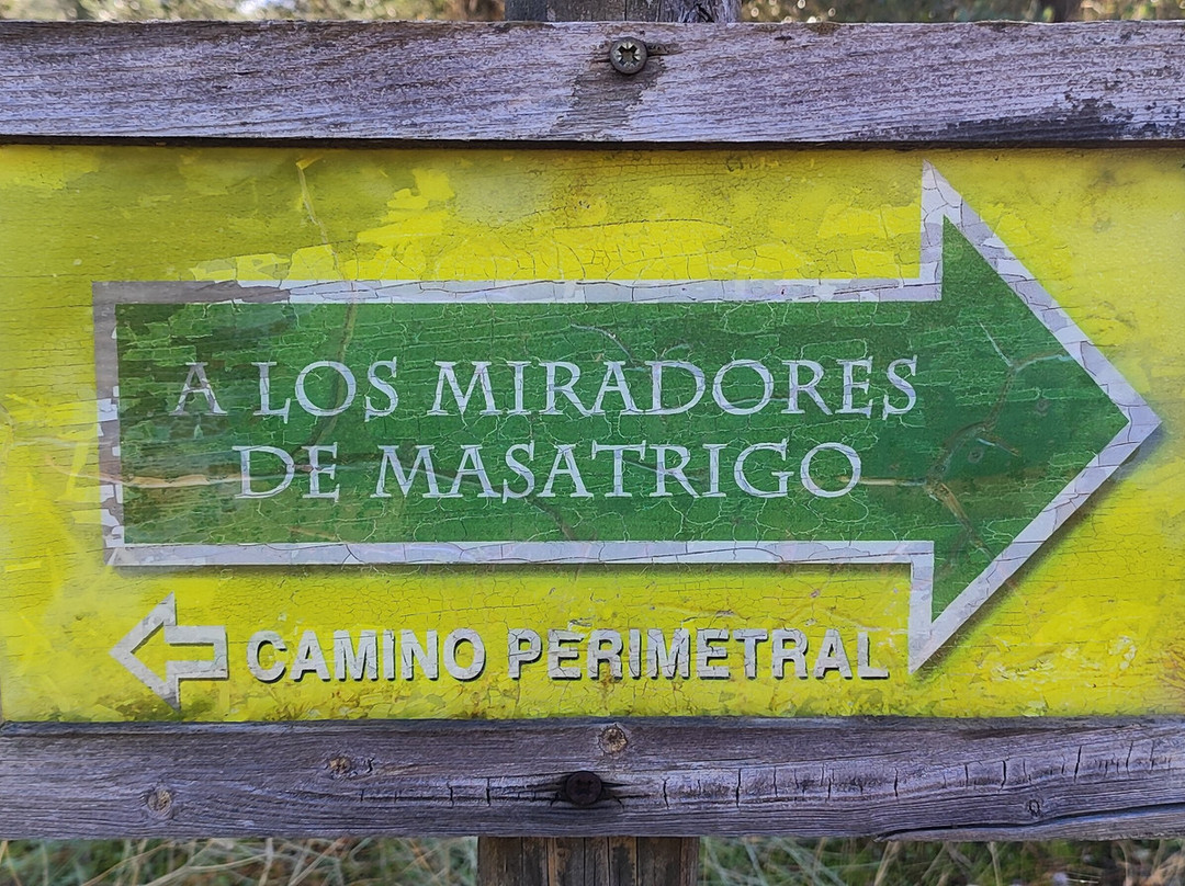 Cerro Masatrigo景点图片