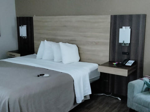 桑蒂温德姆呗盟酒店主图