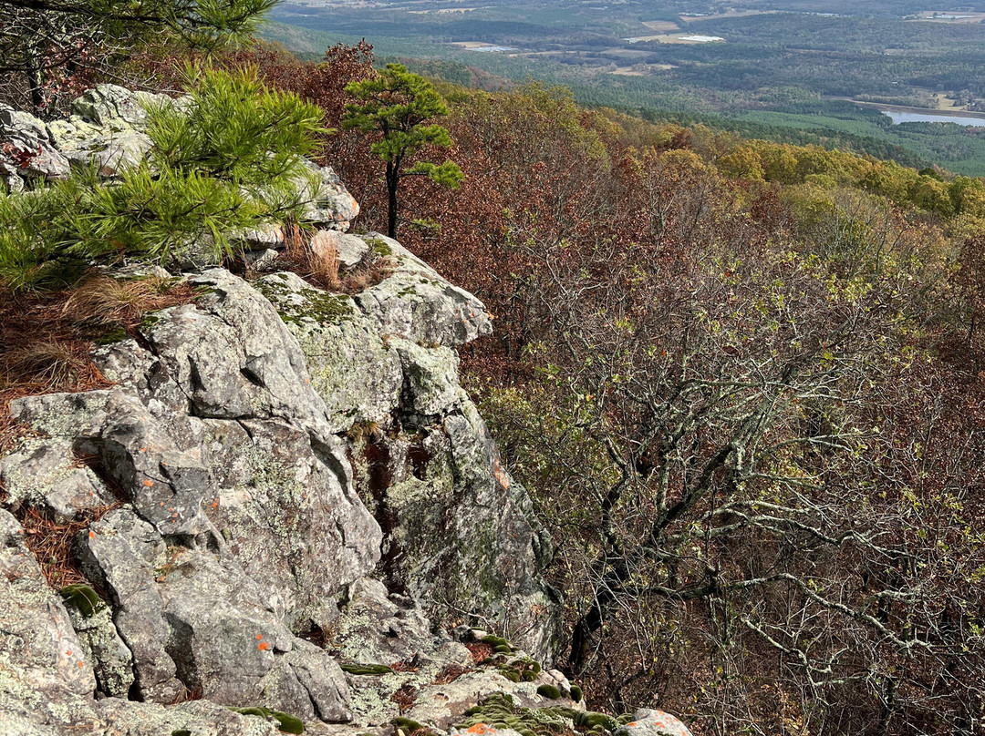 The Lodge at Mount Magazine主图