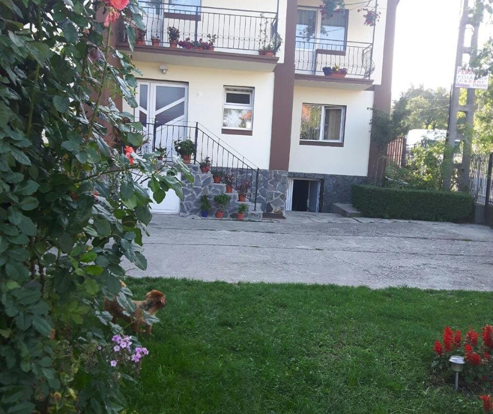 Pensiunea Diana