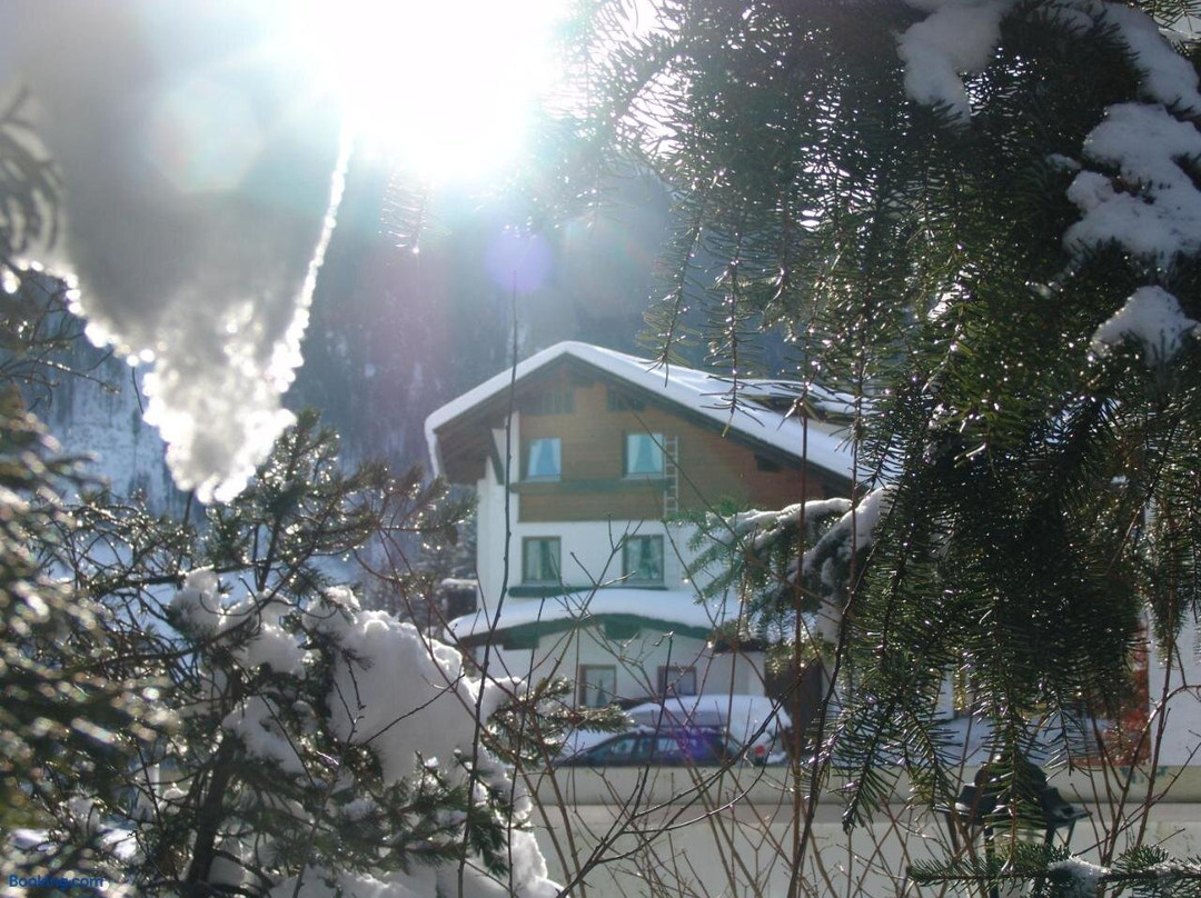 Widdersteinblick