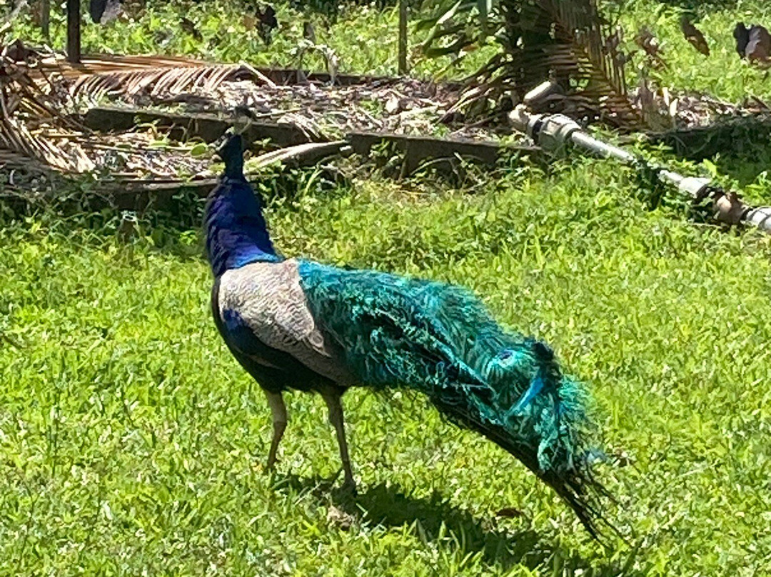 Le Domaine de la Vallee主图