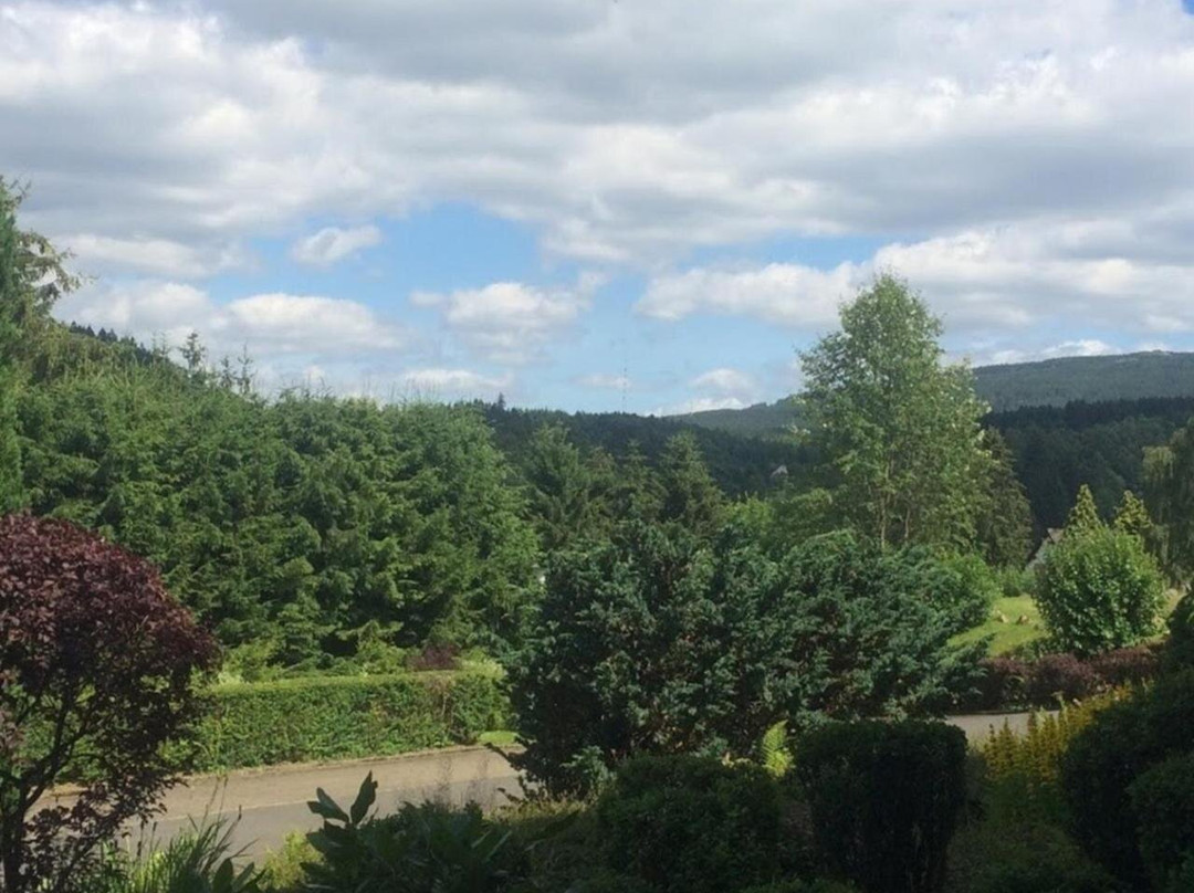 Eulennestchen-Harz Fewo S1 & L2 Für Single, Paar Oder Familie & Hund Oberharz