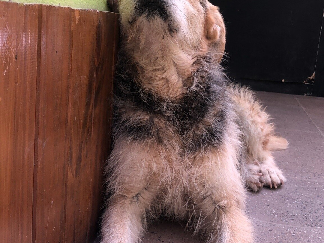 Tilcara Hostel主图