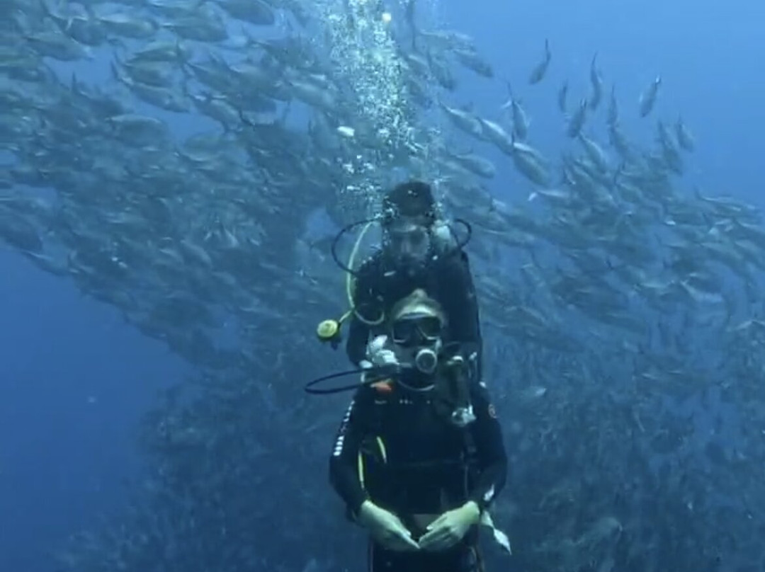 Tropical Divers Dive Center-达瑙市必去景点